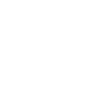 icon star